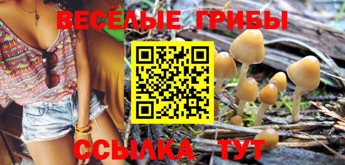 Котлас  Псилоцибиновые грибы мухоморы  Вход с VPN 