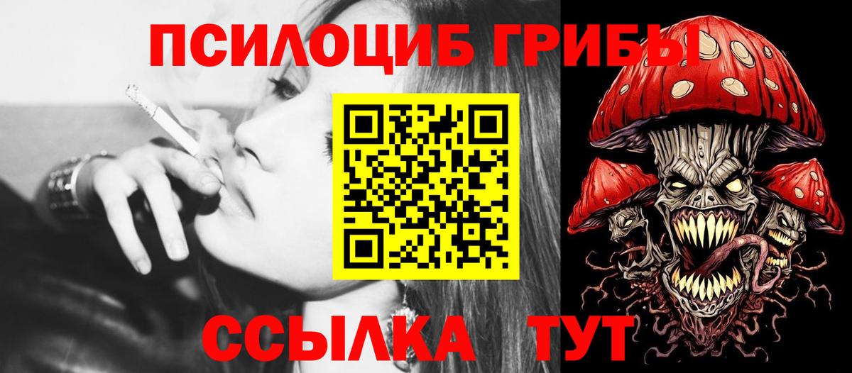 Псилоцибиновые грибы ЛСД Котлас
